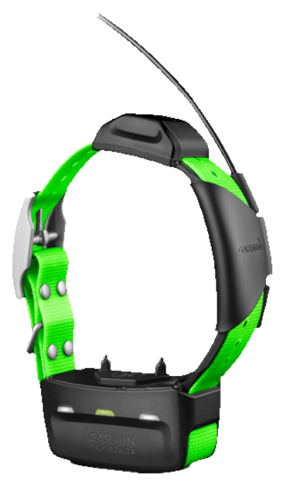 Ошейник Garmin TT15 Collar Rus для систем слежения за охотничьими собаками в магазине RACII24.RU, фото